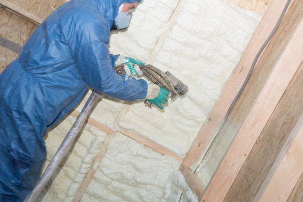 Best Insulation for New Construction  in Austell, GA