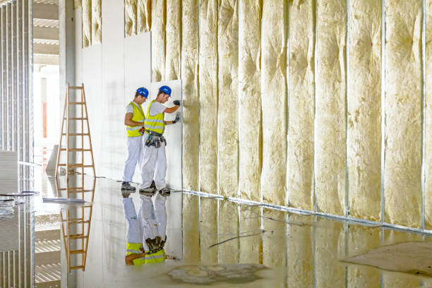 Best Attic Insulation Installation  in Austell, GA